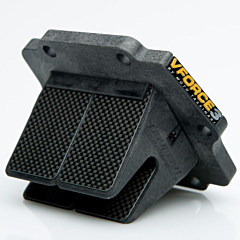 V313C